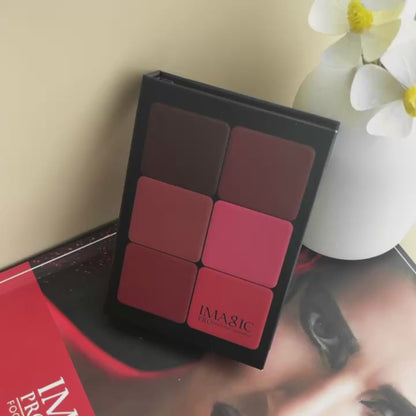 iMAGIC 12 colors Blusher Contour Palette